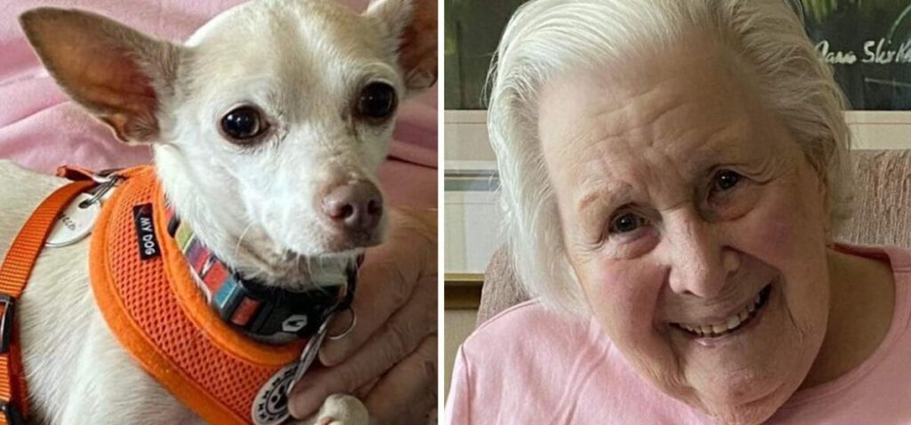 Meet the 100-Year-Old Animal Lover Who Gives Unwanted Dogs a Second Chance at Love