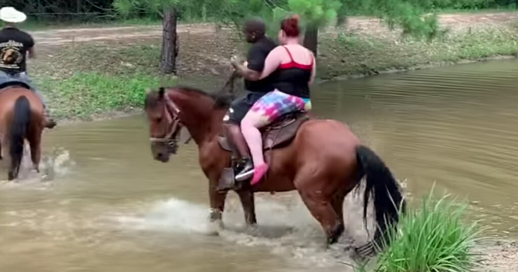 Lazy Tourists Learn a Lesson as Stubborn Horse Refuses to Move