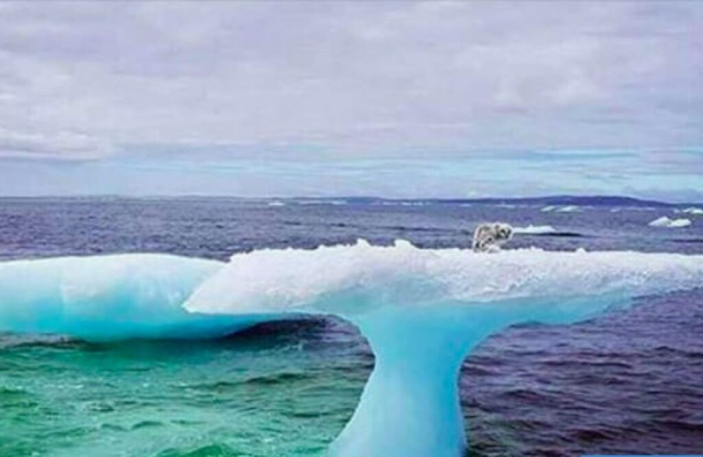 Fishing Crew Spots Strange Object on Iceberg – Uncovering the Unbelievable Truth