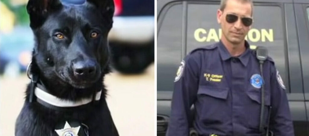 Heroic K-9 Comes to Rescue of Police Officer Under Attack