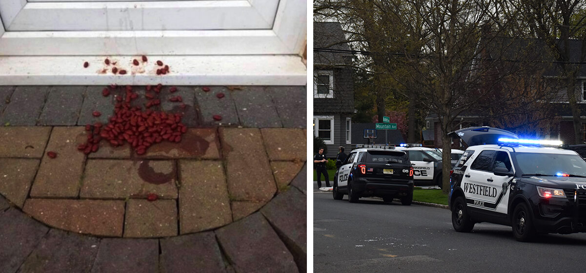 Curious About the Mystery of Food Left Outside Your Door? Here’s the Surprising Reason Why