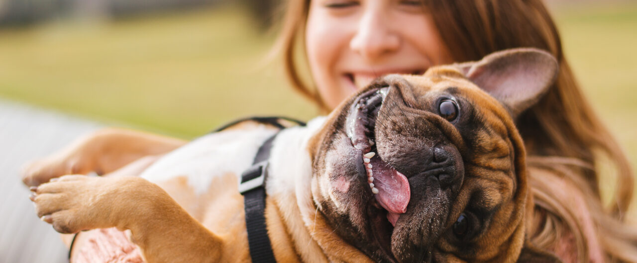 Puppy Love or Potential Danger? Owners Willing to Risk It All for Doggy Kisses