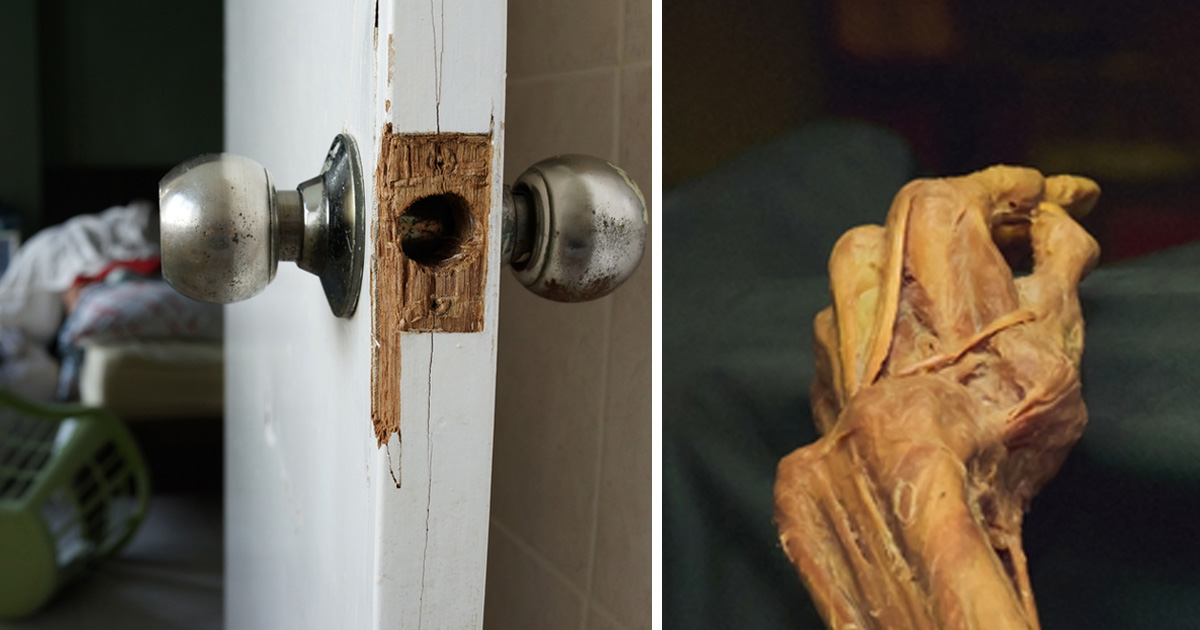 Puzzling Discovery: Police Raid Apartment After Complaint of Odor, Find ‘Mummified’ Girl in Shock