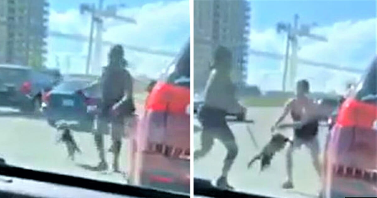 Fury Unleashed: Woman Uses Dog as Weapon in Shocking Road Rage Video