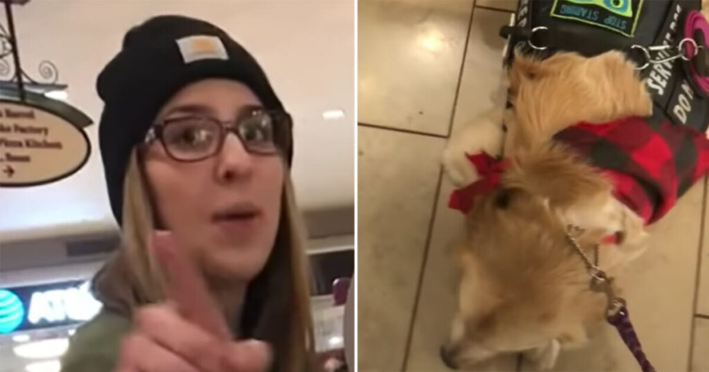 Mother Furious as Daughter is Denied Petting Service Dog - Owner Teaches Unforgettable Lesson
