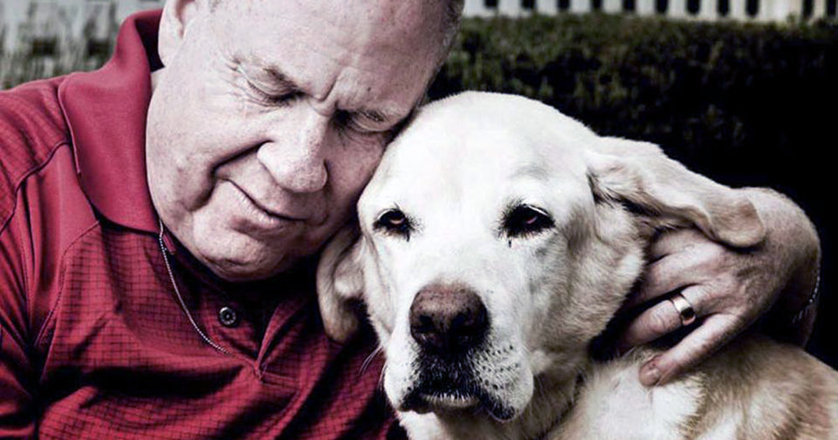Survivor’s Story: How a Guide Dog Saved Him on 9/11