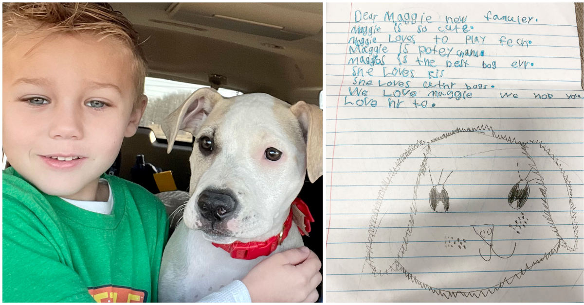 The Little Boy Who Left a Heartwarming Note for His Foster Dog’s New Family: ‘The Best Dog You Could Ever Wish For’