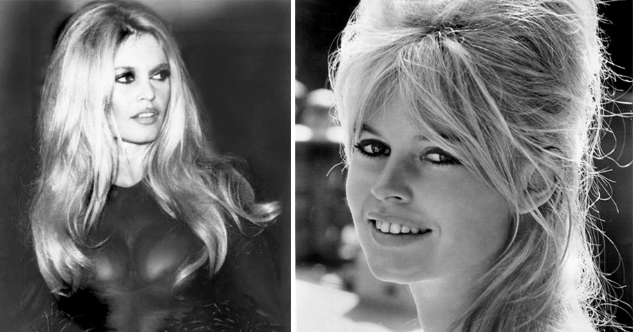 A Timeless Beauty: Brigitte Bardot at 88