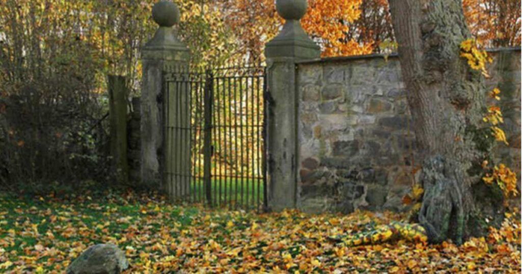 Can You Find the Woman in This Photo?