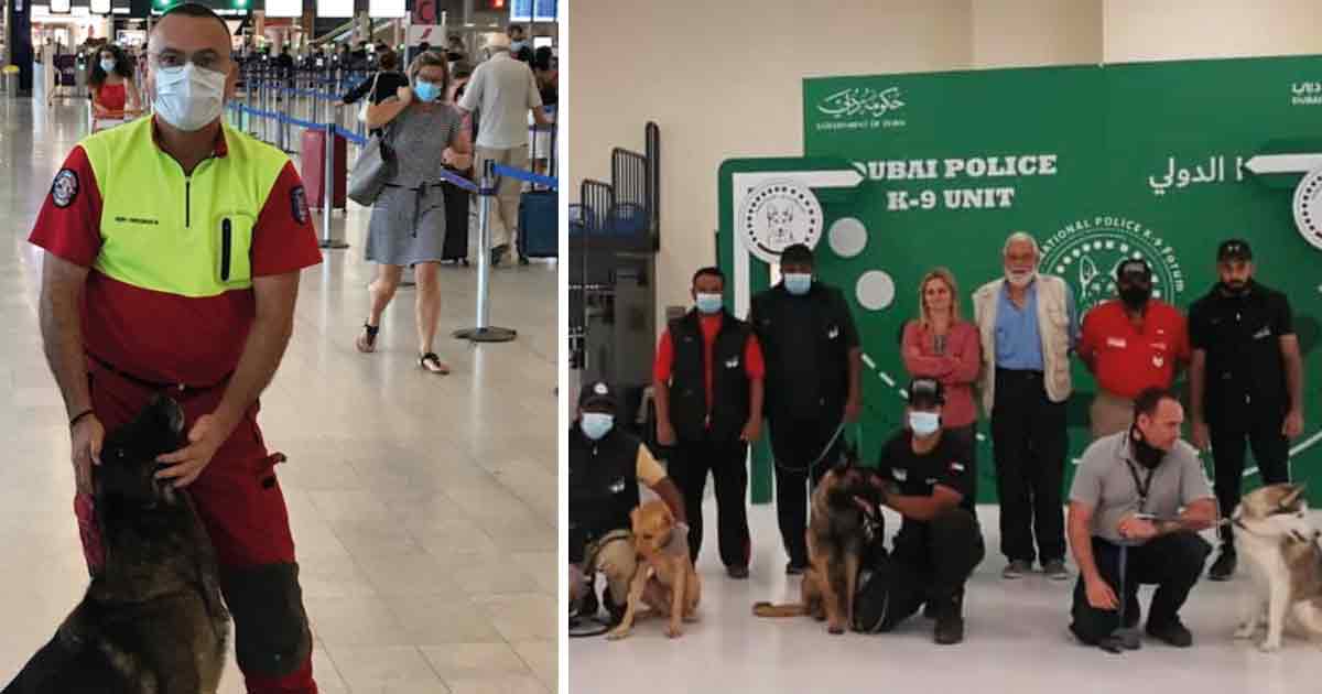Canine COVID Detectives: Sniffing Out Success with a 100% Accuracy Rate