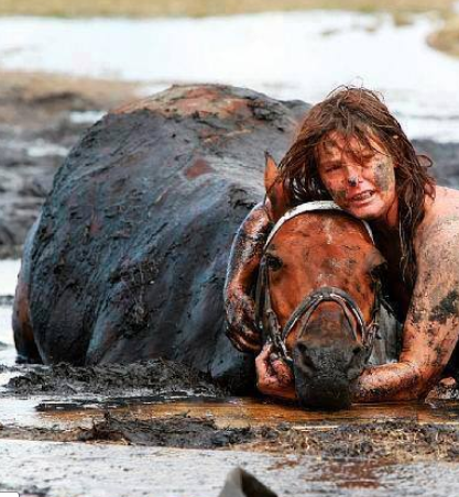 A woman's loyalty to her horse. Nicole Graham spent three hours holding her horse's head above the tide after he got stuck in the… | Funny animals, Animals, Horses