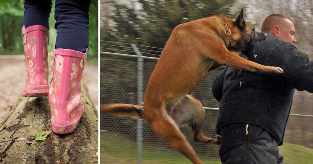 Dog to the Rescue: Brave Canine Steps in to Protect 10-Year-Old Girl from Elderly Man