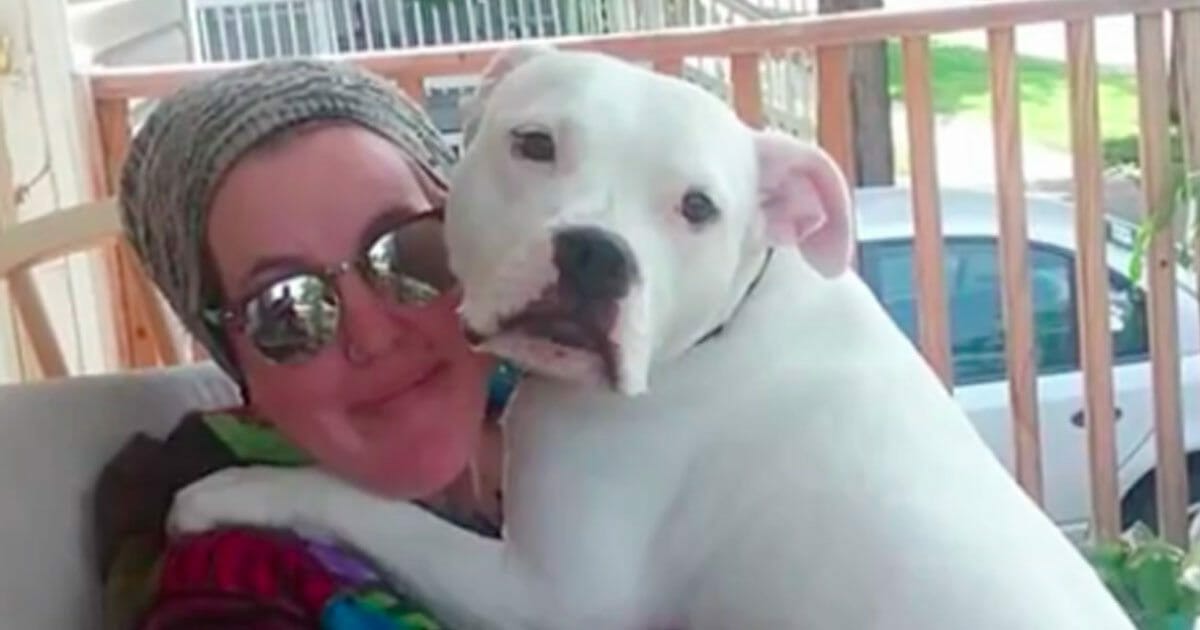 Mystery Solved: Woman Adopts Abandoned Dog Found in Smelly Car, Promptly Calls Police