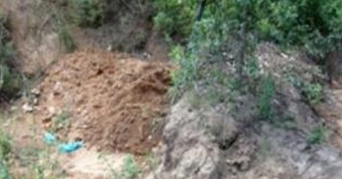 Police Hear Cries from the Ground and Race to Rescue a Dog Buried Alive Just in Time