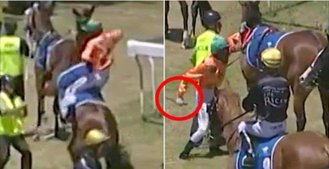 The Shocking Scandal: Jockey Caught on Camera Doing the Unthinkable to Animals